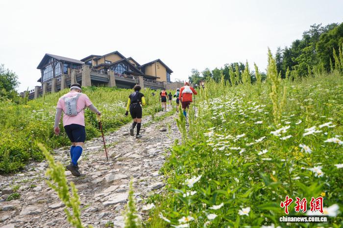 深度解析：MK体育如何赋能您的赛事互动体验 - mk体育